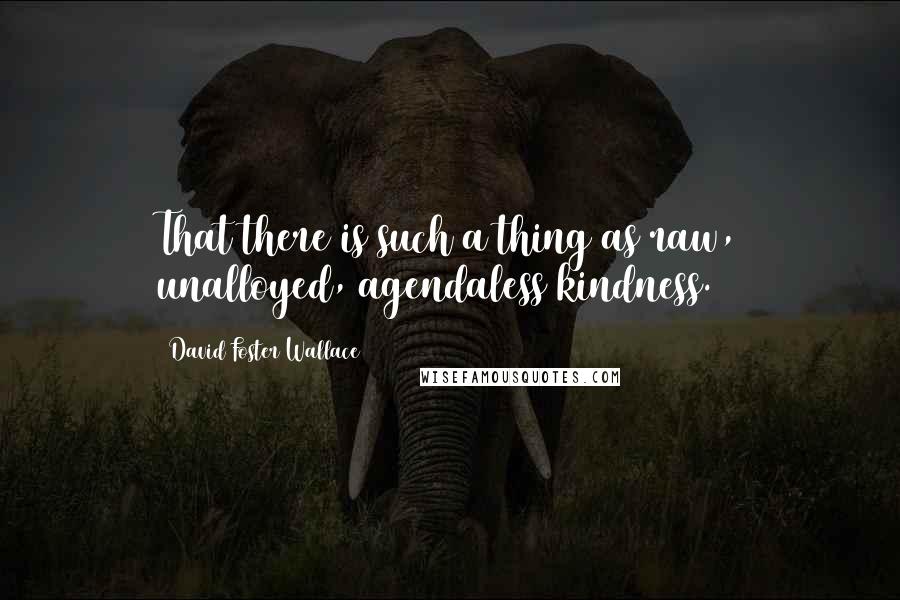 David Foster Wallace Quotes: That there is such a thing as raw, unalloyed, agendaless kindness.