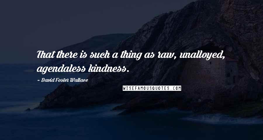 David Foster Wallace Quotes: That there is such a thing as raw, unalloyed, agendaless kindness.