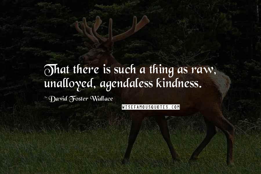 David Foster Wallace Quotes: That there is such a thing as raw, unalloyed, agendaless kindness.