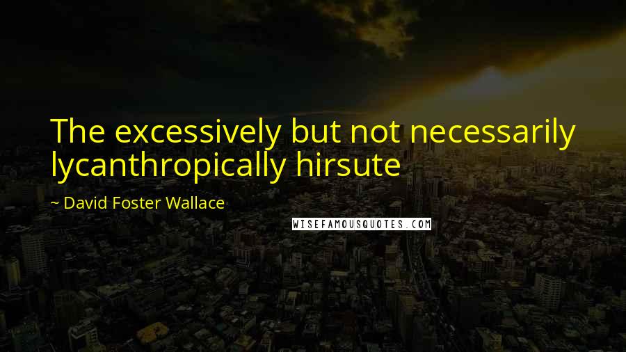 David Foster Wallace Quotes: The excessively but not necessarily lycanthropically hirsute