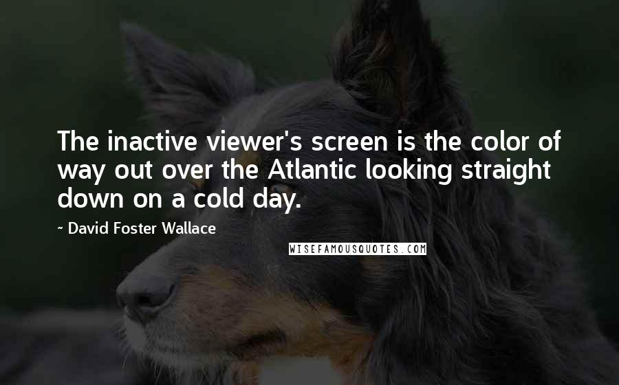 David Foster Wallace Quotes: The inactive viewer's screen is the color of way out over the Atlantic looking straight down on a cold day.