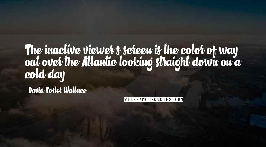 David Foster Wallace Quotes: The inactive viewer's screen is the color of way out over the Atlantic looking straight down on a cold day.