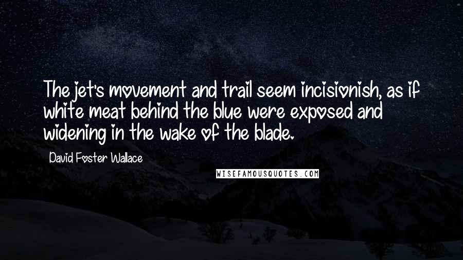 David Foster Wallace Quotes: The jet's movement and trail seem incisionish, as if white meat behind the blue were exposed and widening in the wake of the blade.