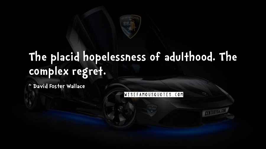 David Foster Wallace Quotes: The placid hopelessness of adulthood. The complex regret.