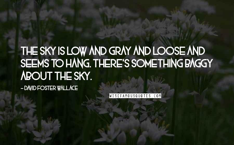 David Foster Wallace Quotes: The sky is low and gray and loose and seems to hang. There's something baggy about the sky.