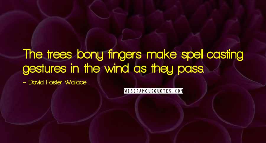 David Foster Wallace Quotes: The trees' bony fingers make spell-casting gestures in the wind as they pass.