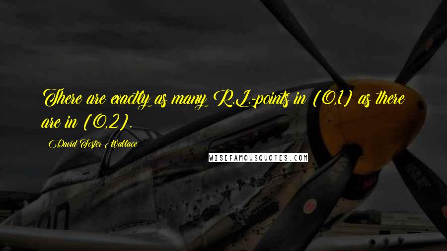 David Foster Wallace Quotes: There are exactly as many R.L.-points in [0,1] as there are in [0,2].
