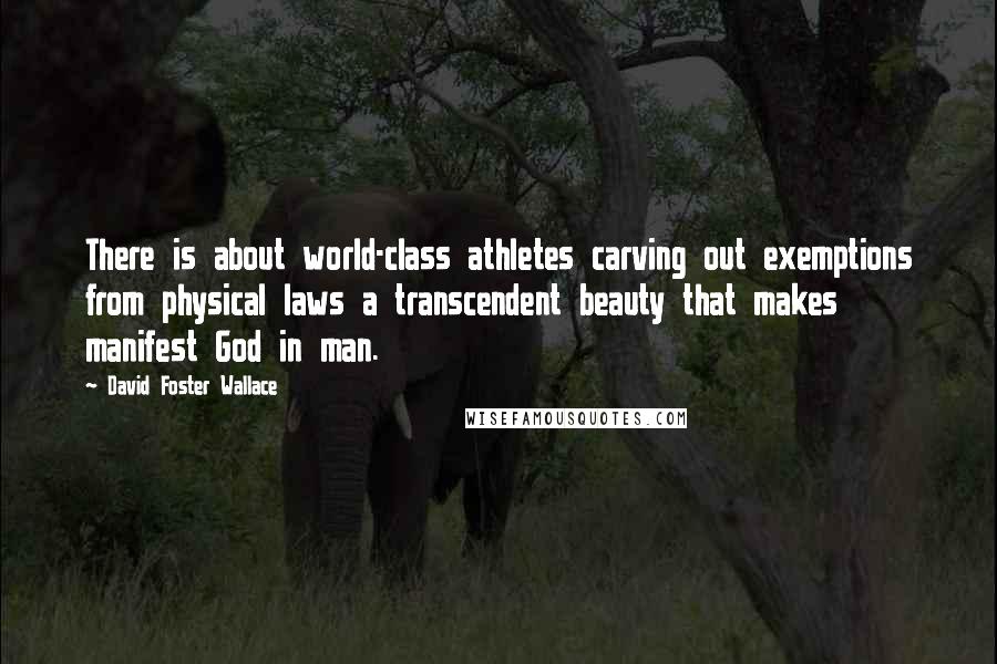 David Foster Wallace Quotes: There is about world-class athletes carving out exemptions from physical laws a transcendent beauty that makes manifest God in man.