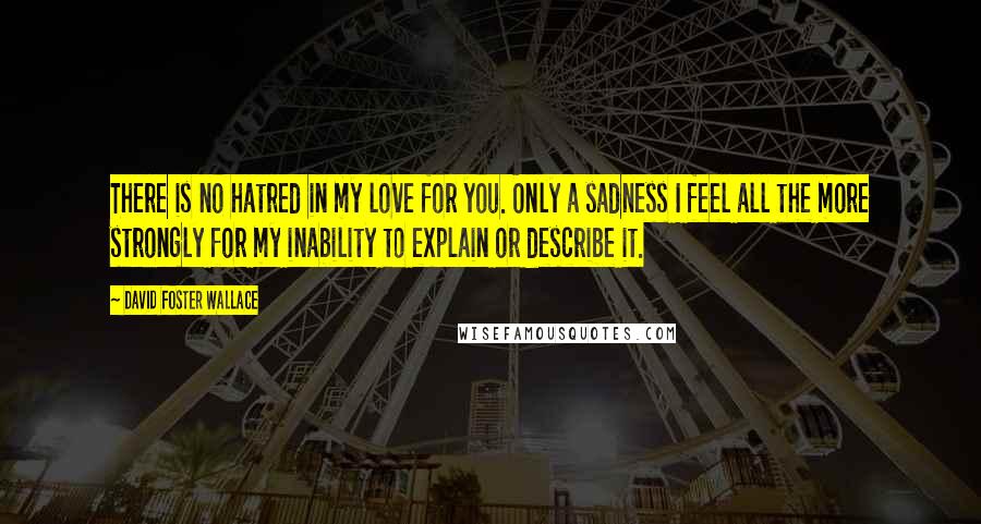 David Foster Wallace Quotes: There is no hatred in my love for you. Only a sadness I feel all the more strongly for my inability to explain or describe it.