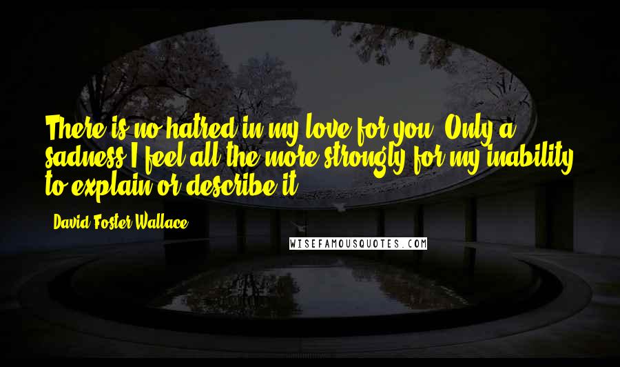David Foster Wallace Quotes: There is no hatred in my love for you. Only a sadness I feel all the more strongly for my inability to explain or describe it.