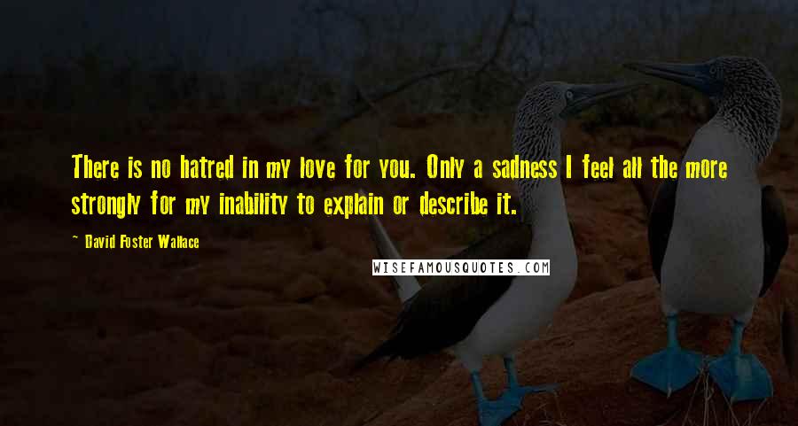 David Foster Wallace Quotes: There is no hatred in my love for you. Only a sadness I feel all the more strongly for my inability to explain or describe it.