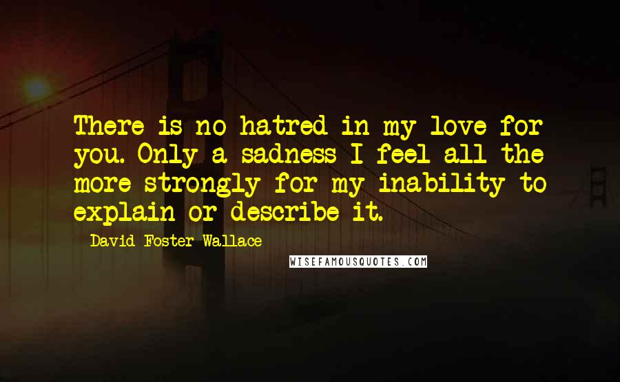 David Foster Wallace Quotes: There is no hatred in my love for you. Only a sadness I feel all the more strongly for my inability to explain or describe it.