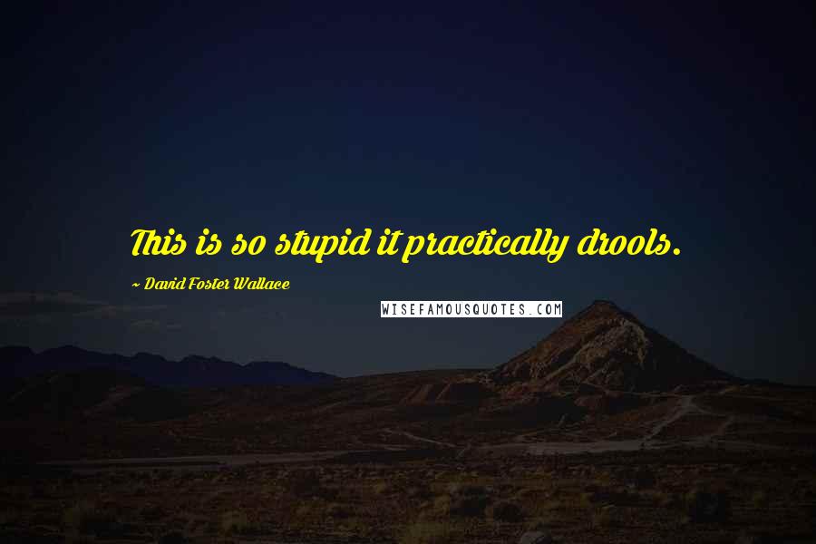 David Foster Wallace Quotes: This is so stupid it practically drools.