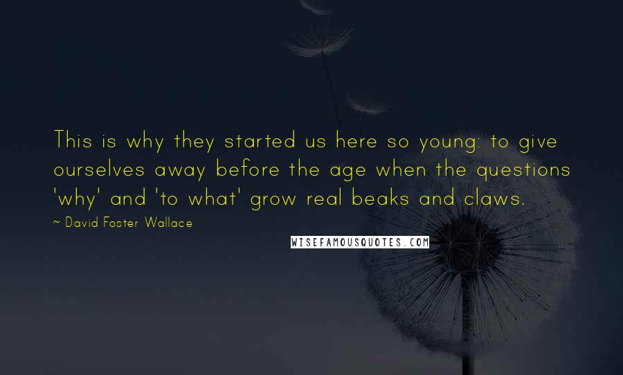 David Foster Wallace Quotes: This is why they started us here so young: to give ourselves away before the age when the questions 'why' and 'to what' grow real beaks and claws.