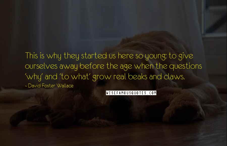 David Foster Wallace Quotes: This is why they started us here so young: to give ourselves away before the age when the questions 'why' and 'to what' grow real beaks and claws.