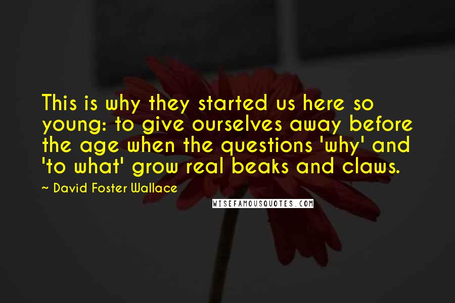 David Foster Wallace Quotes: This is why they started us here so young: to give ourselves away before the age when the questions 'why' and 'to what' grow real beaks and claws.
