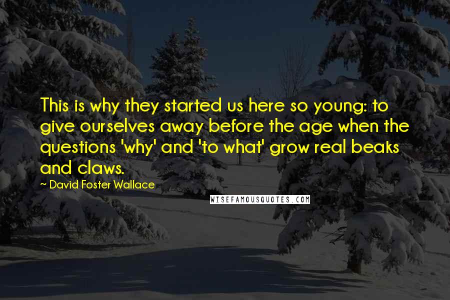 David Foster Wallace Quotes: This is why they started us here so young: to give ourselves away before the age when the questions 'why' and 'to what' grow real beaks and claws.