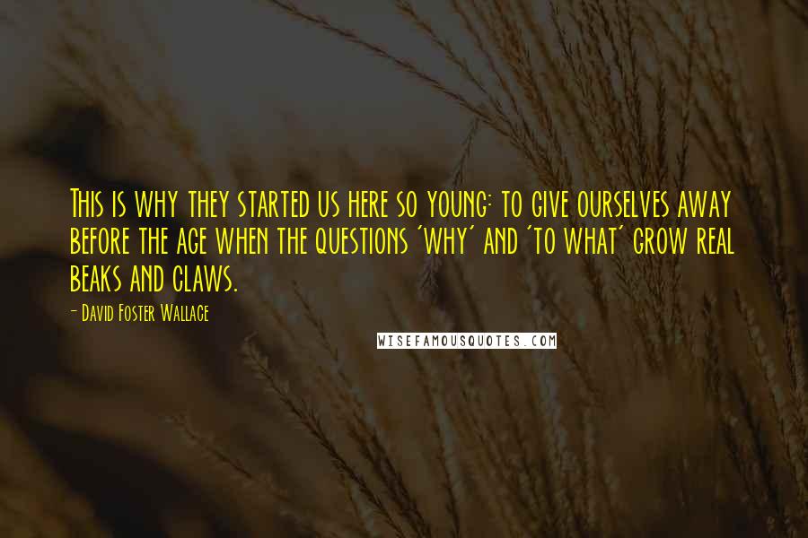 David Foster Wallace Quotes: This is why they started us here so young: to give ourselves away before the age when the questions 'why' and 'to what' grow real beaks and claws.