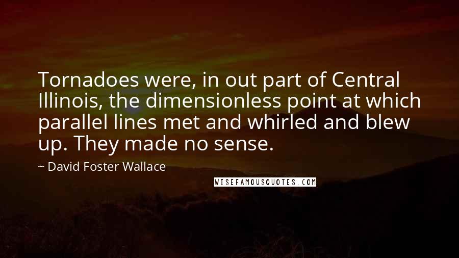David Foster Wallace Quotes: Tornadoes were, in out part of Central Illinois, the dimensionless point at which parallel lines met and whirled and blew up. They made no sense.