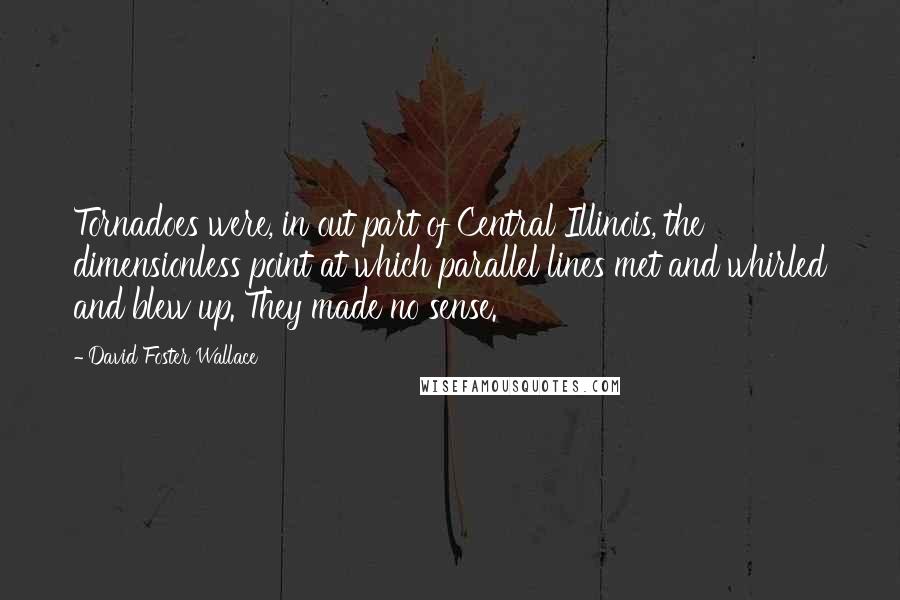 David Foster Wallace Quotes: Tornadoes were, in out part of Central Illinois, the dimensionless point at which parallel lines met and whirled and blew up. They made no sense.