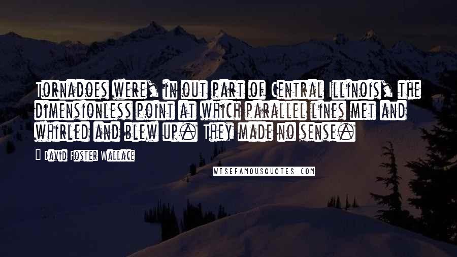 David Foster Wallace Quotes: Tornadoes were, in out part of Central Illinois, the dimensionless point at which parallel lines met and whirled and blew up. They made no sense.