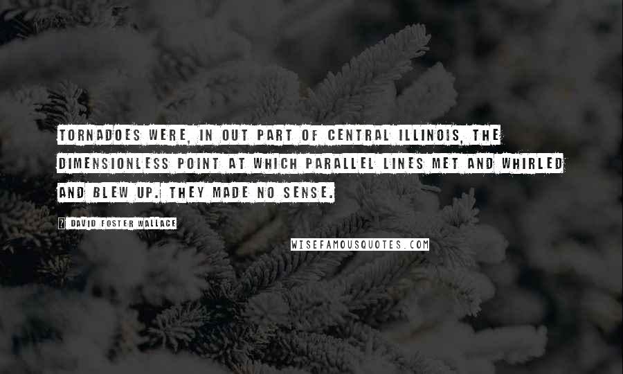 David Foster Wallace Quotes: Tornadoes were, in out part of Central Illinois, the dimensionless point at which parallel lines met and whirled and blew up. They made no sense.