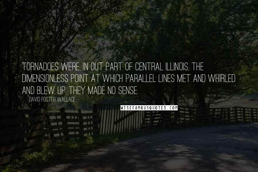 David Foster Wallace Quotes: Tornadoes were, in out part of Central Illinois, the dimensionless point at which parallel lines met and whirled and blew up. They made no sense.