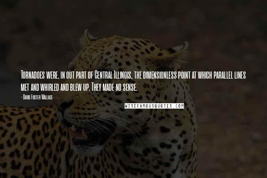 David Foster Wallace Quotes: Tornadoes were, in out part of Central Illinois, the dimensionless point at which parallel lines met and whirled and blew up. They made no sense.