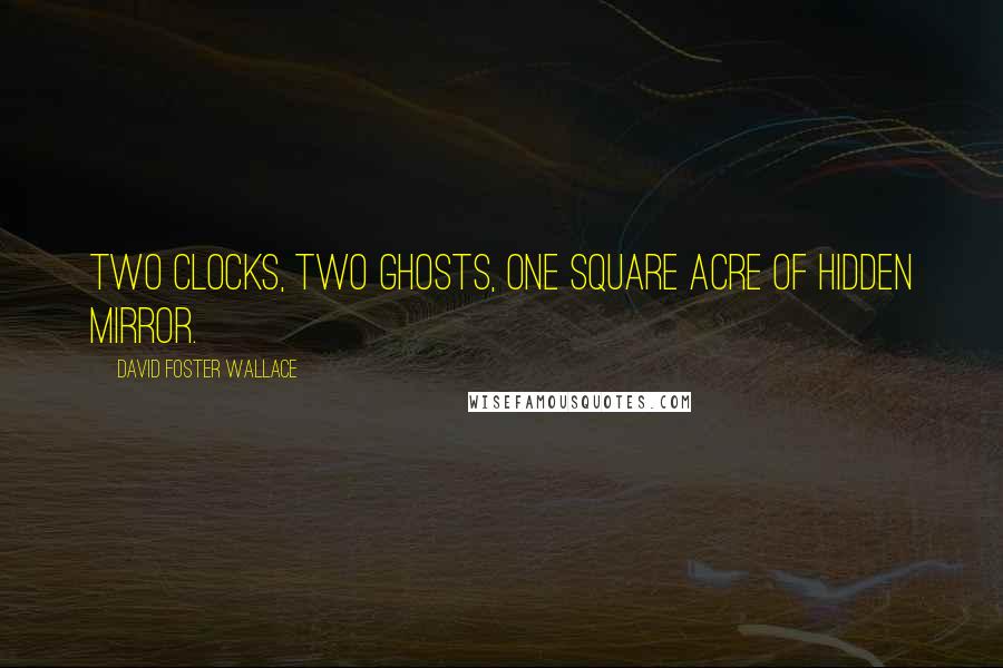David Foster Wallace Quotes: Two clocks, two ghosts, one square acre of hidden mirror.