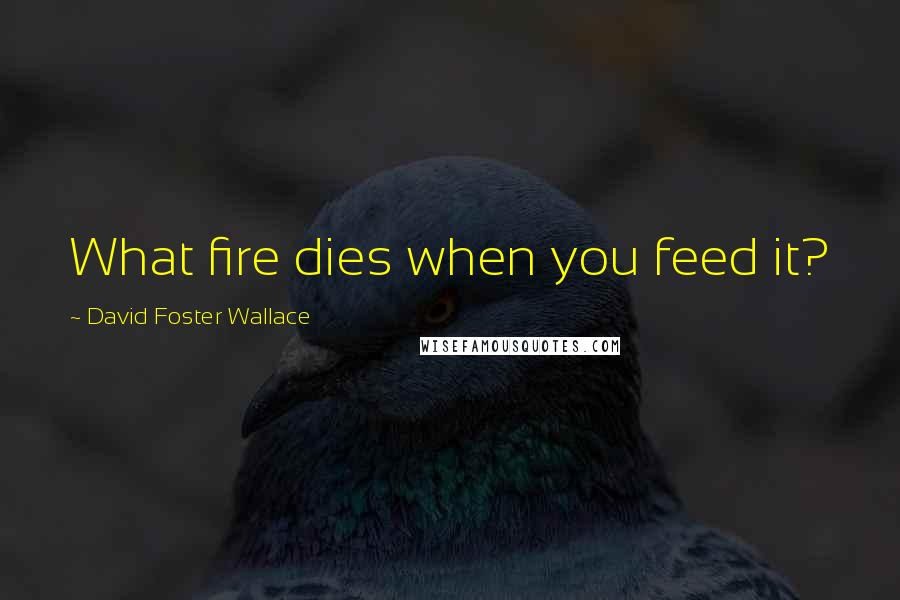 David Foster Wallace Quotes: What fire dies when you feed it?