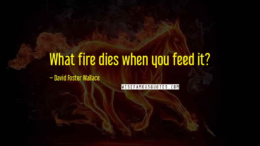 David Foster Wallace Quotes: What fire dies when you feed it?