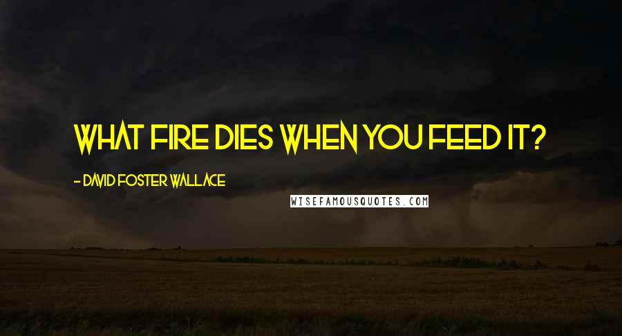 David Foster Wallace Quotes: What fire dies when you feed it?