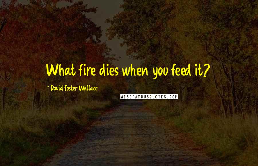 David Foster Wallace Quotes: What fire dies when you feed it?