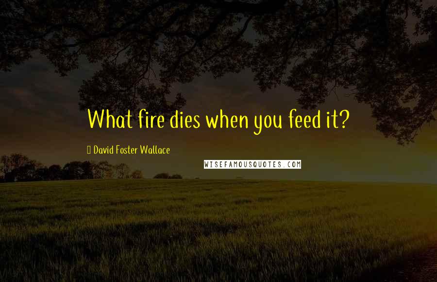 David Foster Wallace Quotes: What fire dies when you feed it?