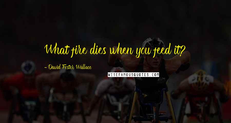 David Foster Wallace Quotes: What fire dies when you feed it?