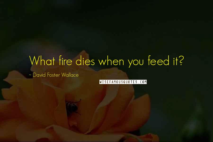 David Foster Wallace Quotes: What fire dies when you feed it?