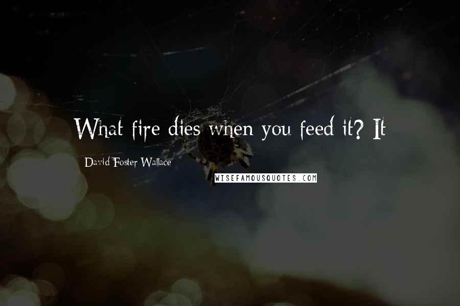 David Foster Wallace Quotes: What fire dies when you feed it? It