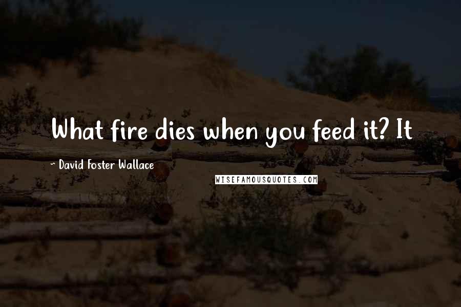 David Foster Wallace Quotes: What fire dies when you feed it? It