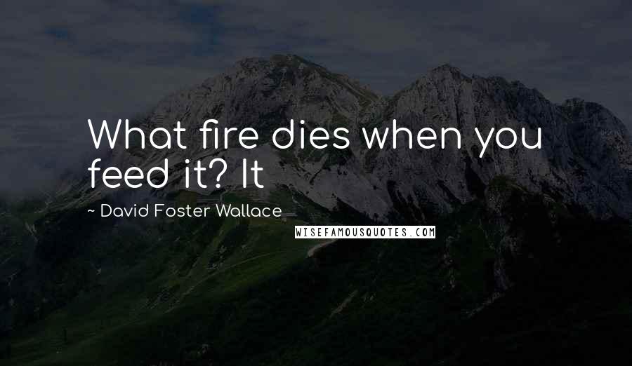 David Foster Wallace Quotes: What fire dies when you feed it? It