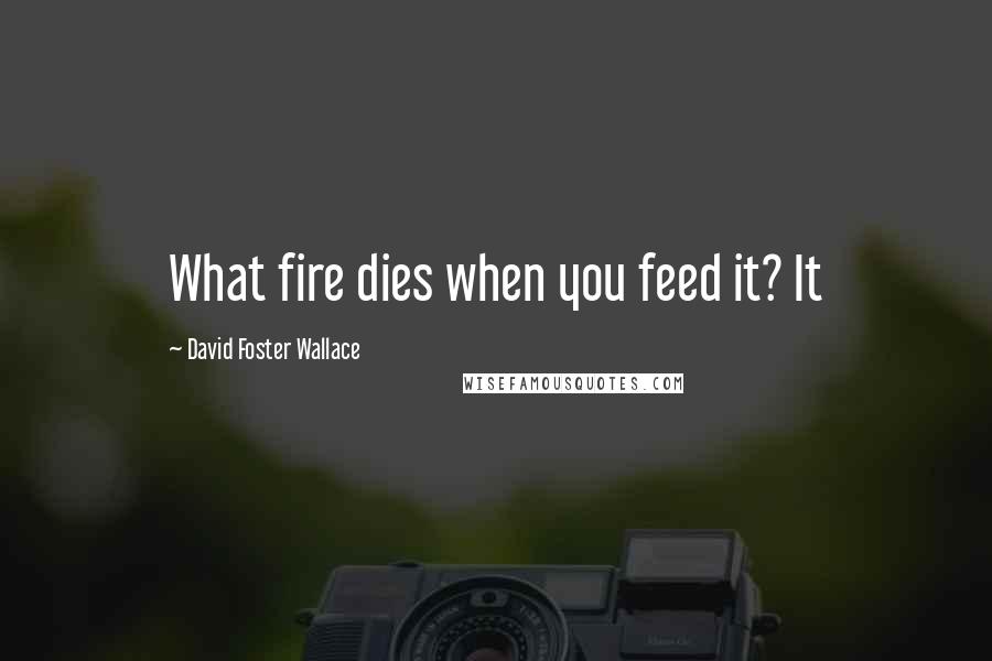 David Foster Wallace Quotes: What fire dies when you feed it? It