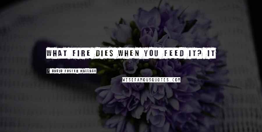 David Foster Wallace Quotes: What fire dies when you feed it? It