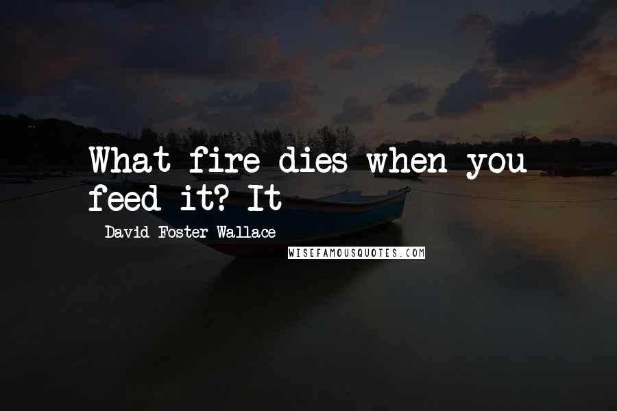 David Foster Wallace Quotes: What fire dies when you feed it? It