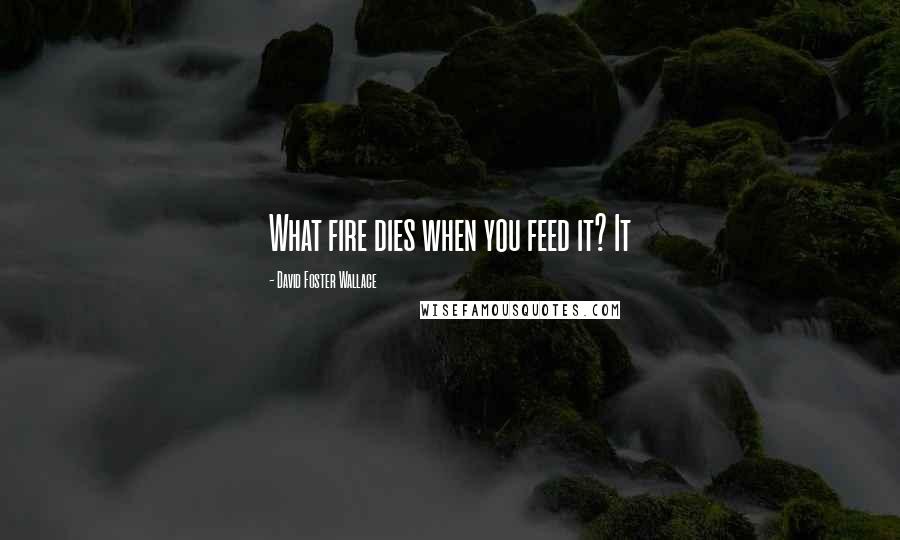 David Foster Wallace Quotes: What fire dies when you feed it? It