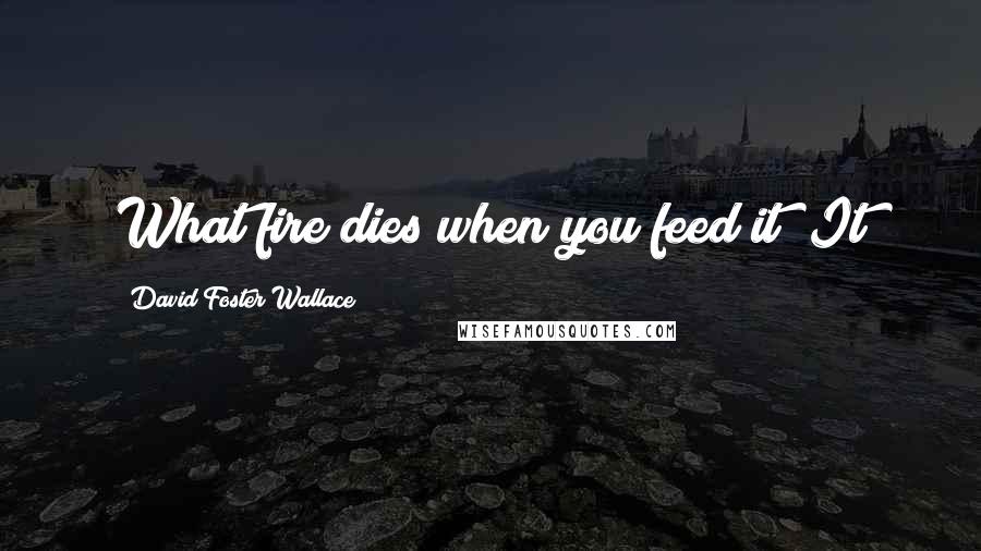 David Foster Wallace Quotes: What fire dies when you feed it? It