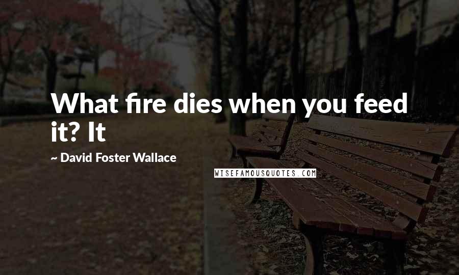 David Foster Wallace Quotes: What fire dies when you feed it? It