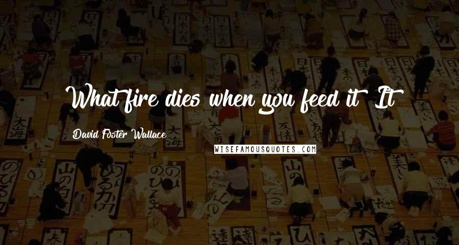 David Foster Wallace Quotes: What fire dies when you feed it? It