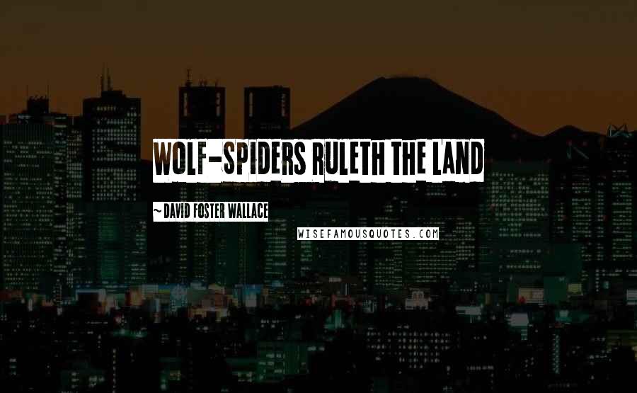 David Foster Wallace Quotes: Wolf-Spiders Ruleth the Land