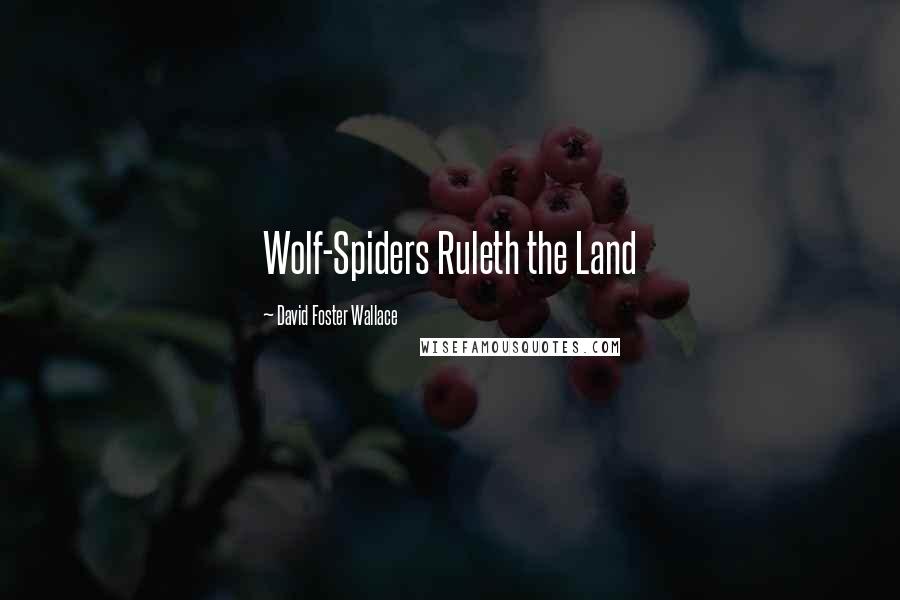 David Foster Wallace Quotes: Wolf-Spiders Ruleth the Land