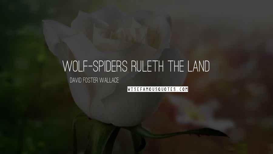 David Foster Wallace Quotes: Wolf-Spiders Ruleth the Land