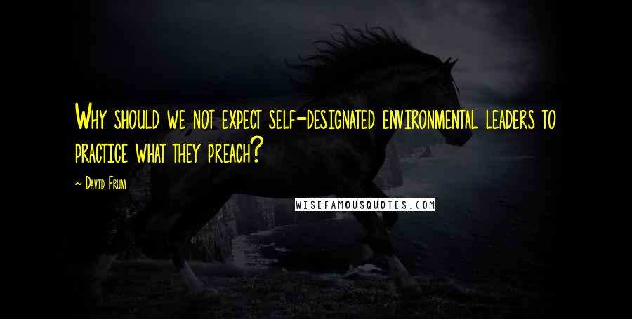 David Frum Quotes: Why should we not expect self-designated environmental leaders to practice what they preach?